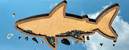 Shark teeth bank tooth display signs by Hollow & Hill Co., showcasing various styles and sizes for educational or decorative use.
