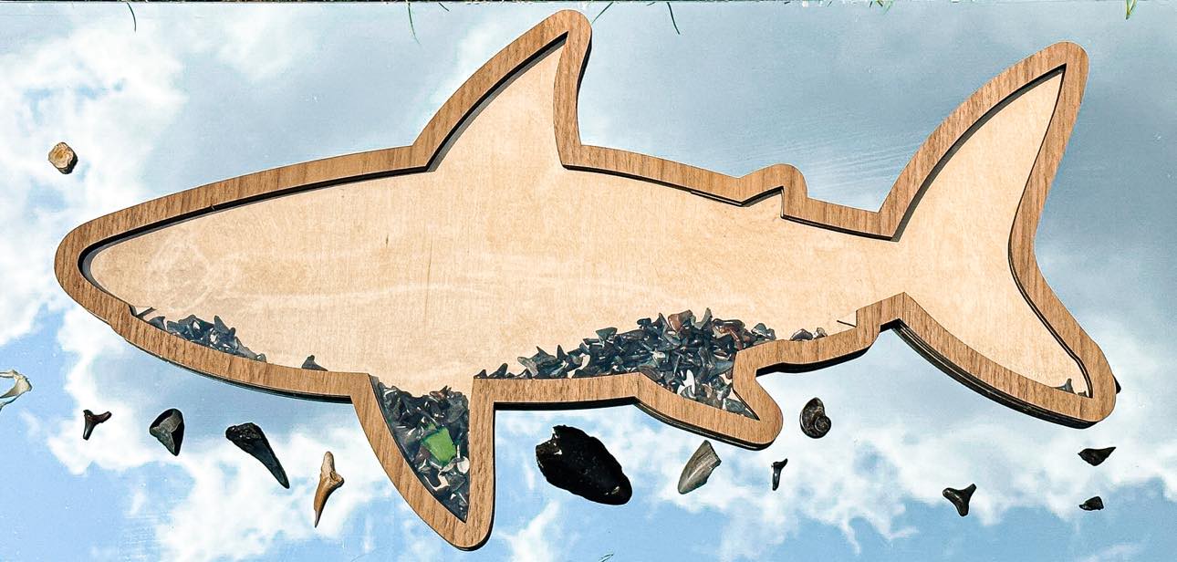Shark teeth bank tooth display signs in various styles and sizes by The Hollow & Hill Co. LLC, showing detailed shark tooth illustrations.
