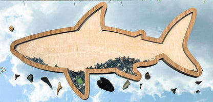 Shark teeth bank tooth display signs in various styles and sizes by The Hollow & Hill Co. LLC, showing detailed shark tooth illustrations.